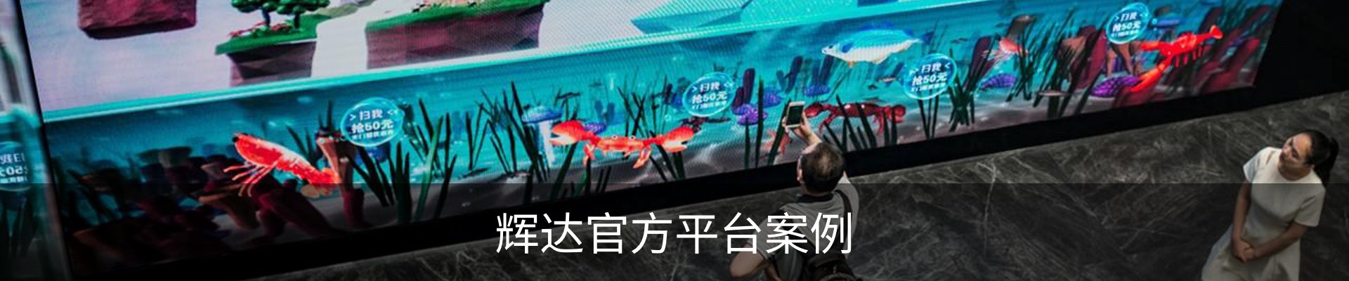 辉达官方平台案例